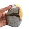 Septários com decoração polida - 0