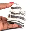 Jaspe zebra - 0