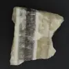 Jaspe zebra - 1