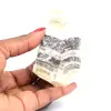 Jaspe zebra - 0