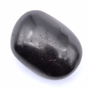 Seixo shungita