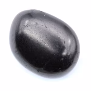 Seixo shungita