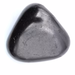 Seixo shungita