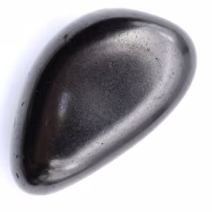 Seixo shungita