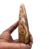 Cajado de Calcita - 9
