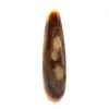 Cajado de Calcita - 1