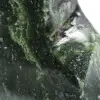 Jade nefrite polido ornamental - 7