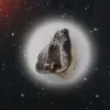 Meteorito Campo del Cielo - 1