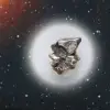 Fragmento Campo del Cielo - 0