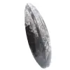 Fóssil de Orthoceras - 2