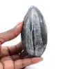 Orthoceras Fósseis de Marrocos - 0