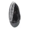 Ortoceras - 1