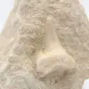 Dente fóssil de tubarão otodus - 1