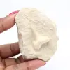 Dente fóssil de tubarão otodus - 2
