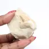 Dente de tubarão Otodus - 2