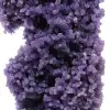 Cacho de uvas calcedônia - 11