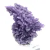 Cacho de uvas calcedônia - 5