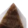 Pirâmide da Pedra da Lua Negra - 5