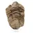 Trilobite fóssil