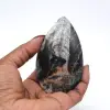 Orthoceras polido de Marrocos - 0