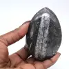 Fóssil de Orthoceras Polido - 0