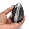 Fóssil de Orthoceras de Marrocos - 2