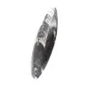 Fóssil de Orthoceras Marrocos - 2