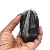 Fóssil de Orthoceras de Marrocos - 4
