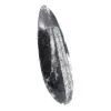 Fóssil de Orthoceras - 3