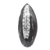 Orthoceras de Marrocos - 1