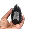 Fóssil de Orthoceras de Marrocos - 7