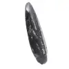 Fóssil de Orthoceras Polido - 3