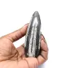 Fóssil de Orthoceras de Marrocos - 0
