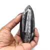 Fóssil de Orthoceras de Marrocos - 0