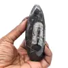 Fóssil de Orthoceras de Marrocos - 11