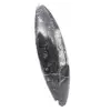 Fóssil de Orthoceras - 3