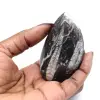 Orthoceras de Marrocos - 0