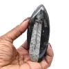 Fóssil de Orthoceras de Marrocos - 12