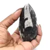 Fóssil de Orthoceras de Marrocos - 15