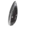 Fóssil de Orthoceras de Marrocos - 2