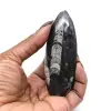Fóssil de Orthoceras - 0
