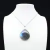 Pingente de gota de labradorite - 0