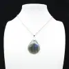 Pingente de gota de labradorite - 9