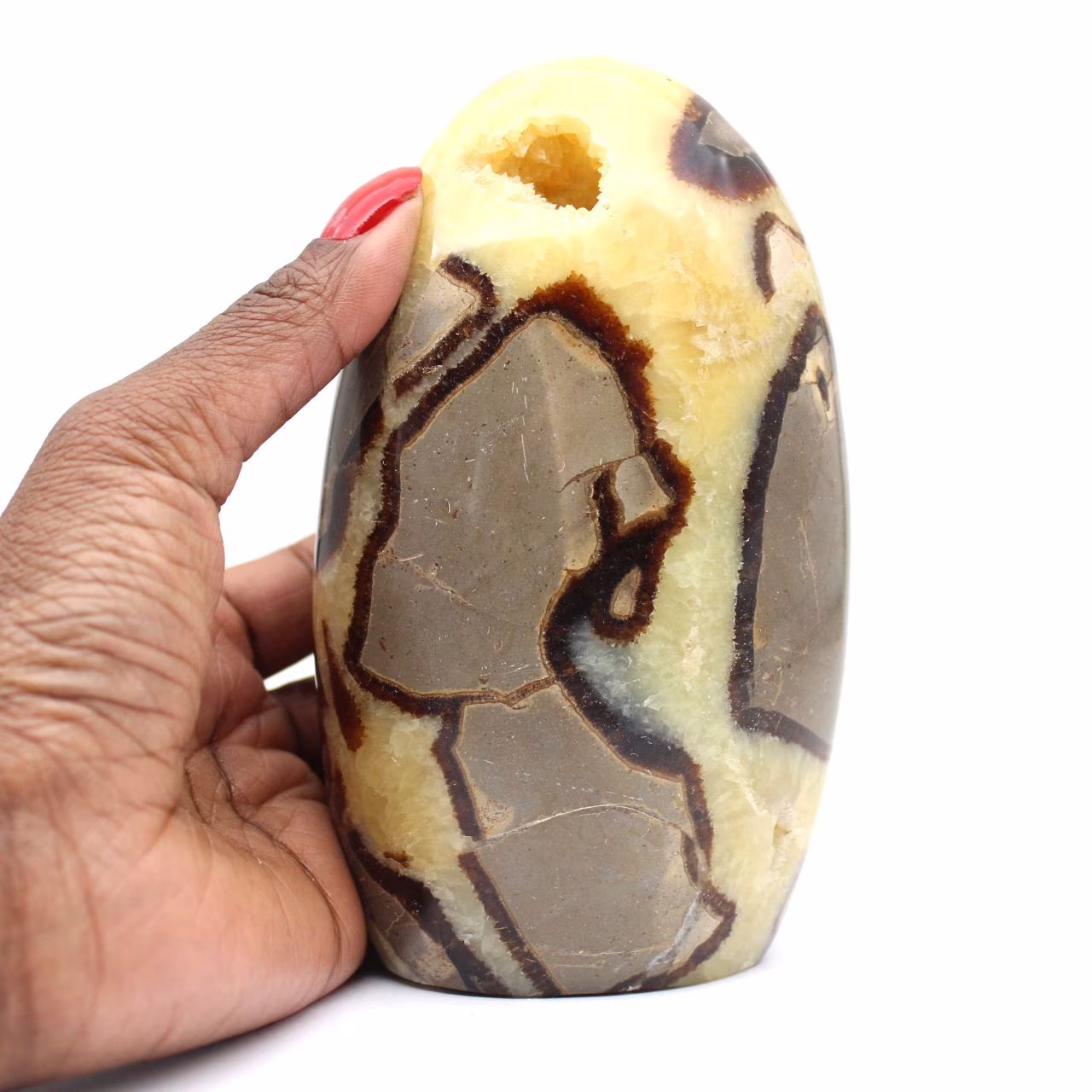 Pedra Septariana Polida