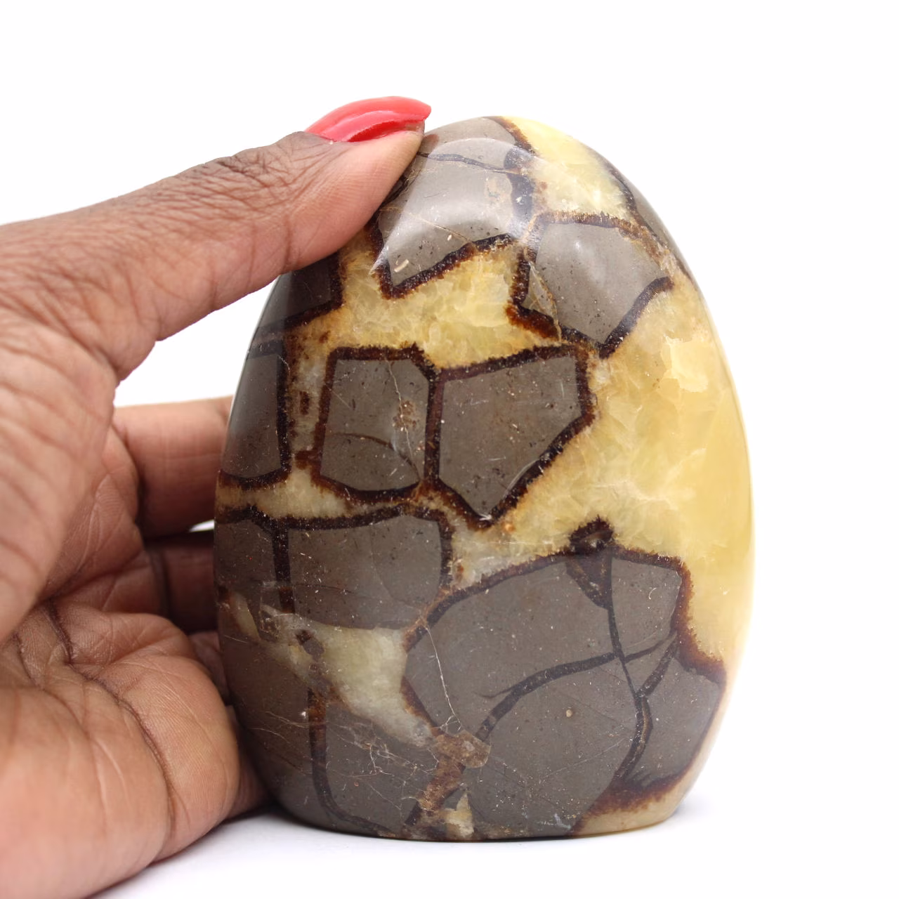 Pedra Septária