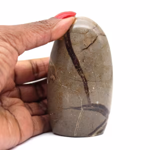 Septaria natural para decoração
