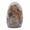 Microclina ornamental - 0