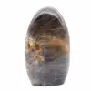 Microclina decorativa - 0