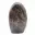 Microclina ornamental — 5