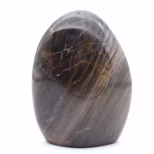 Pedra da Lua Negra Polida